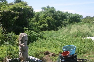 環境 3|章君祖|2010/7/20|：石獅左前樹林後方有亂葬崗