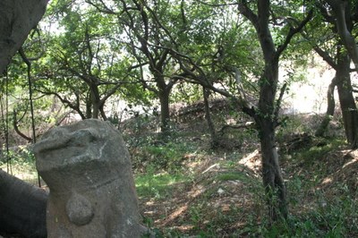 石獅位於村外風頭樹下，後方為「太武山」