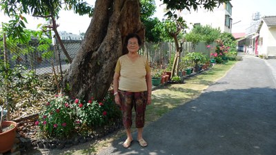 高齡85歲謝陳阿爽女士.18歲從二水嫁到謝家.就有此棵蓮霧樹.並已很巨大